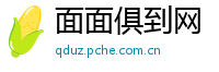 面面俱到网